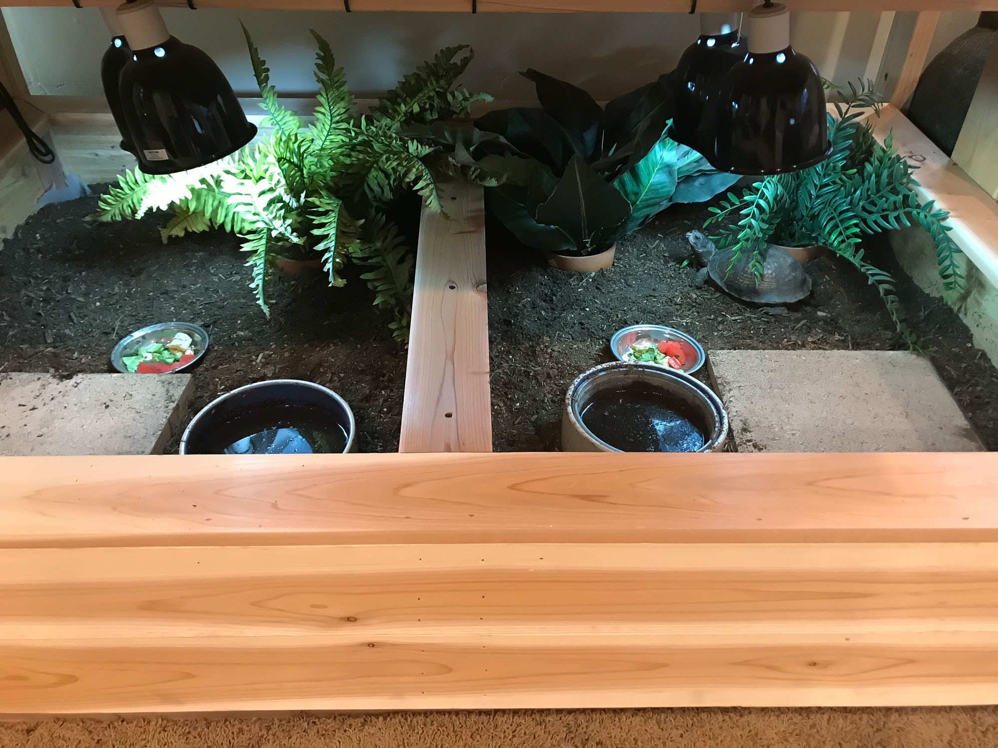 2021, indoor habitat v2